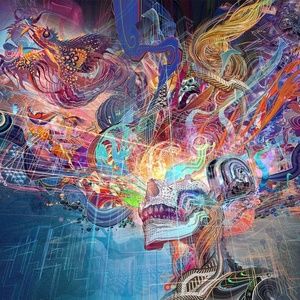 Meet your Posher, Colton